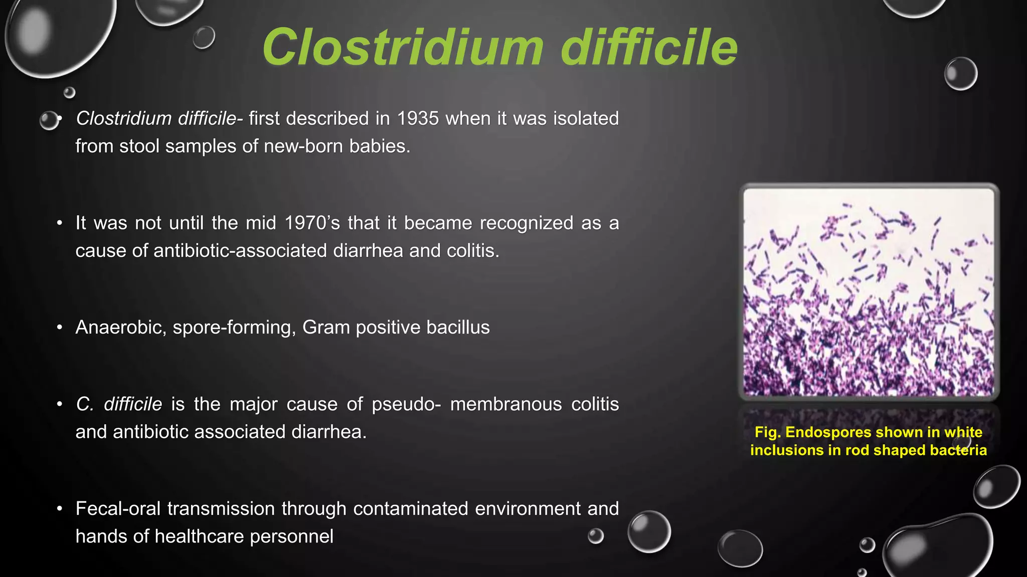 Clostridium difficile
• Clostridium difficile- first described in 1935 when it was isolated
from stool samples of new-born babies.
• It was not until the mid 1970’s that it became recognized as a
cause of antibiotic-associated diarrhea and colitis.
• Anaerobic, spore-forming, Gram positive bacillus
• C. difficile is the major cause of pseudo- membranous colitis
and antibiotic associated diarrhea.
• Fecal-oral transmission through contaminated environment and
hands of healthcare personnel
Fig. Endospores shown in white
inclusions in rod shaped bacteria
 