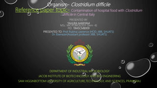 Organism- Clostridium difficile
Reference paper topic- Contamination of hospital food with Clostridium
difficile in Central Italy
PRESENTED BY:
TAHURA MARIYAM
MSc. MICROBIOLOGY (Sem -II)
P.ID: 19MSCMB009
PRESENTED TO: Prof. Rubina Lawrence (HOD, JIBB, SHUATS)
Dr. Ebenezer(Assistant professor JIBB, SHUATS)
DEPARTMENT OF INDUSTRIAL MICROBIOLOGY
JACOB INSTITUTE OF BIOTECHNOLOGY AND BIO-ENGINEERING
SAM HIGGINBOTTOM UNIVERSITY OF AGRICULTURE,TECHNOLOGY, AND SCIENCES, PRAYAGRAJ
 