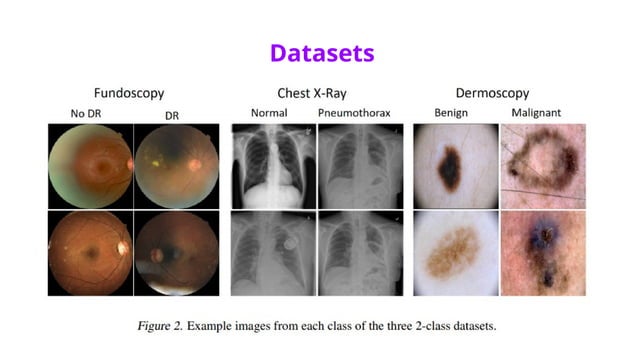Fast Gradient Sign Method (FGSM)___.pptx