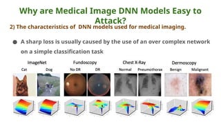 Why are Medical Image DNN Models Easy to
Attack?
2) The characteristics of DNN models used for medical imaging.
● A sharp loss is usually caused by the use of an over complex network
on a simple classification task
 