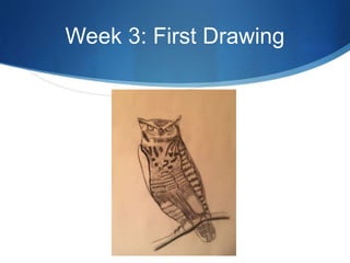 Week 3: First Drawing
 