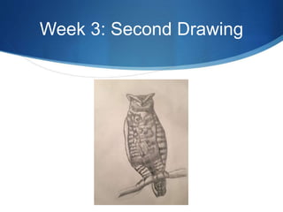 Week 3: Second Drawing
 
