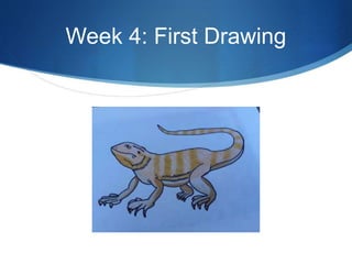 Week 4: First Drawing
 
