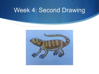 Week 4: Second Drawing
 