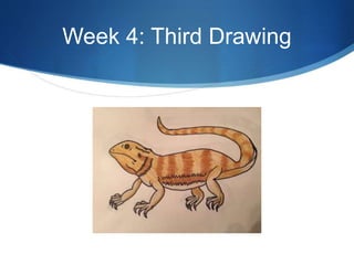 Week 4: Third Drawing
 