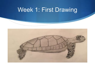 Week 1: First Drawing
 