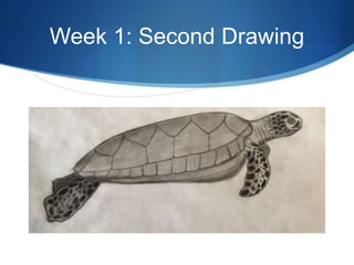 Week 1: Second Drawing
 