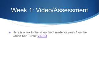 Week 1: Video/Assessment
S Here is a link to the video that I made for week 1 on the
Green Sea Turtle: VIDEO
 