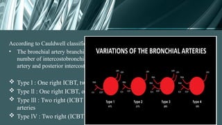 Comprehensive Overview of Major Pulmonary Vessels, Lymphatics, and ...