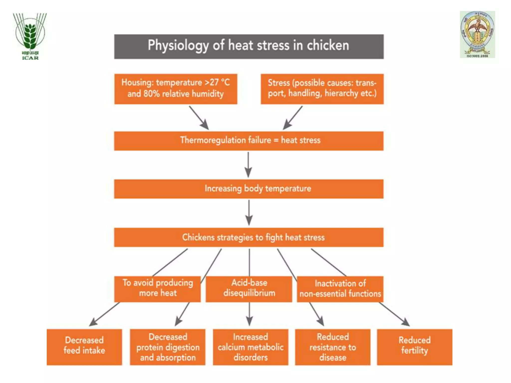 Management Of Heat Stress In Poultry pptx management-of-heat-stress-in-poultry-pptx