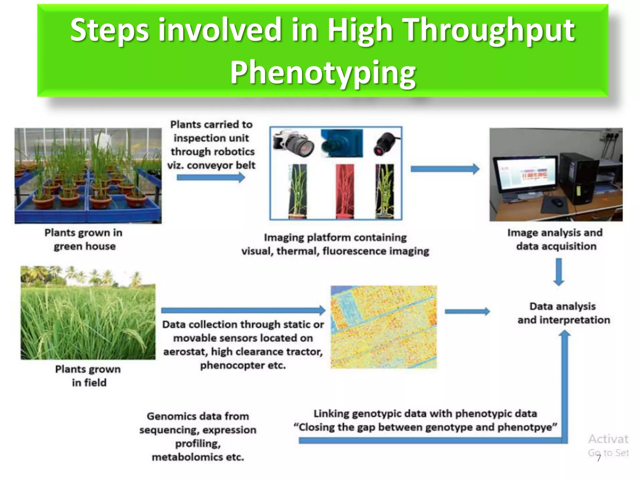 High Throughput Plant Phenotyping in Crop Improvement PPT