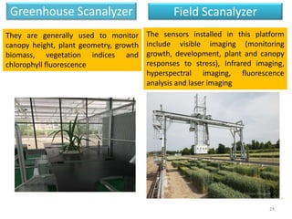 High Throughput Plant Phenotyping in Crop Improvement | PPTX
