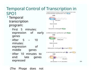 Major shifts in bac trx.ppt [Compatibility Mode].pptx