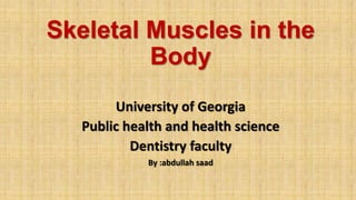 Skeletal Muscles in the
Body
University of Georgia
Public health and health science
Dentistry faculty
By :abdullah saad
 