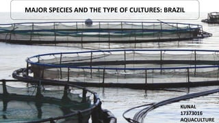 MAJOR SPECIES AND THE TYPE OF CULTURES: BRAZIL
KUNAL
17373016
AQUACULTURE
 