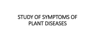 STUDY OF SYMPTOMS OF
PLANT DISEASES
 