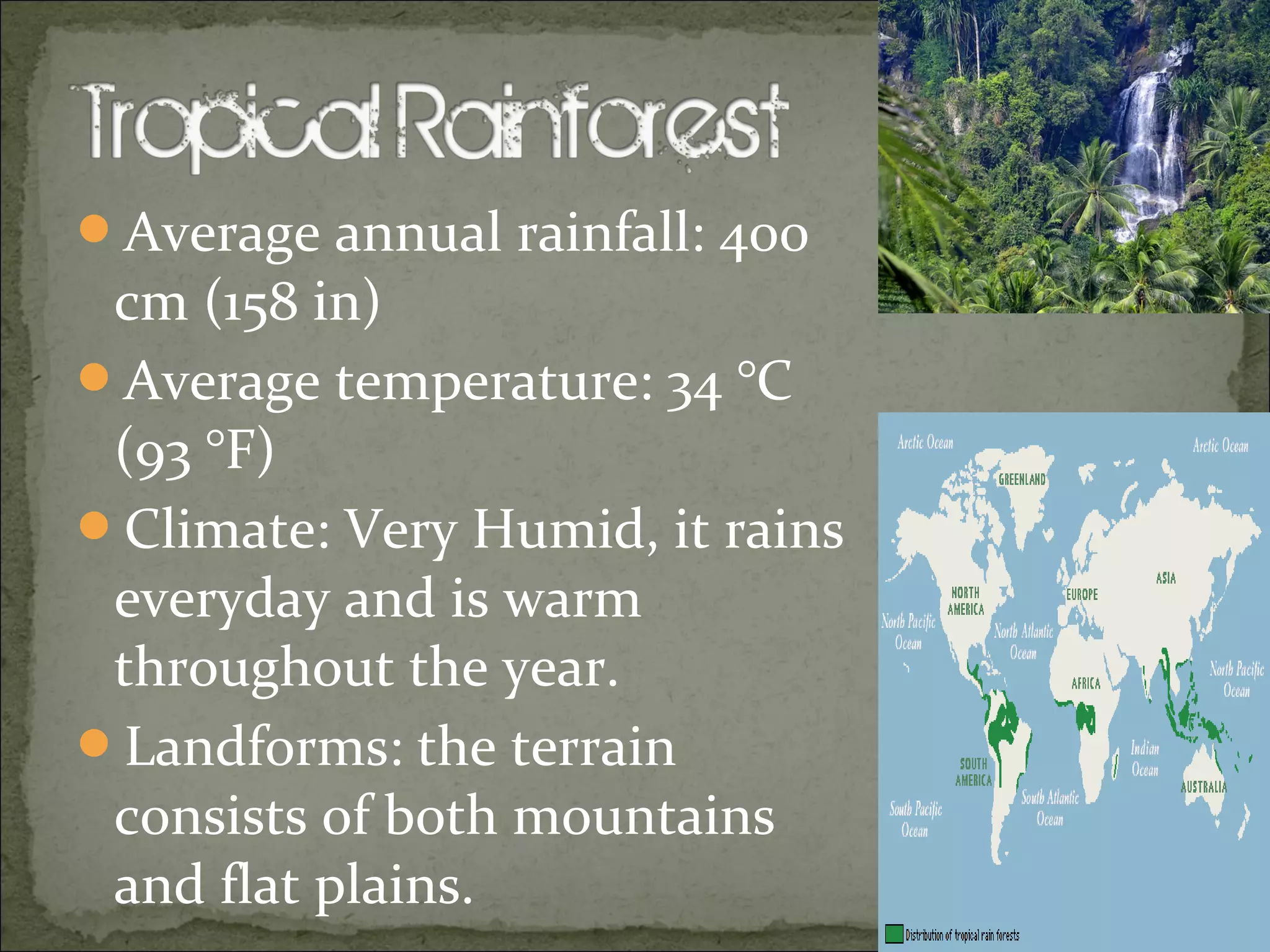 Major terrestrial biomes | PPT