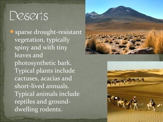 Major terrestrial biomes | PPT