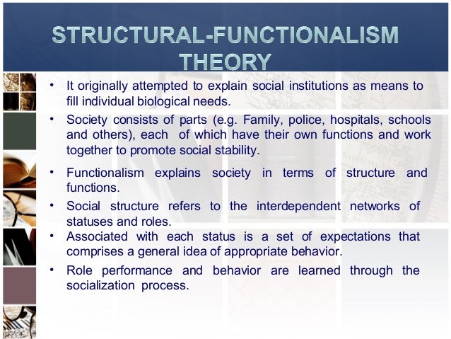 what is a theoretical perspective in sociology