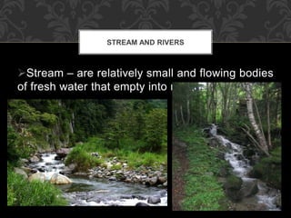 Stream – are relatively small and flowing bodies
of fresh water that empty into rivers.
STREAM AND RIVERS
 