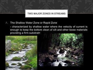 A. The Shallow Water Zone or Rapid Zone
- characterized by shallow water where the velocity of current is
enough to keep the bottom clean of silt and other loose materials
providing a firm substrate.
TWO MAJOR ZONES IN STREAMS
 