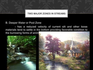 B. Deeper Water or Pool Zone
- has a reduced velocity of current silt and other loose
materials tend to settle in the bottom providing favorable condition to
the burrowing forms of animals.
TWO MAJOR ZONES IN STREAMS
 
