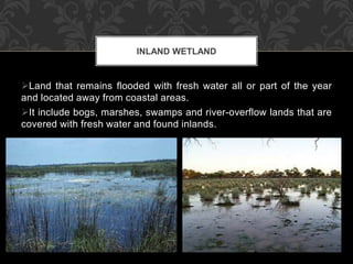Land that remains flooded with fresh water all or part of the year
and located away from coastal areas.
It include bogs, marshes, swamps and river-overflow lands that are
covered with fresh water and found inlands.
INLAND WETLAND
 
