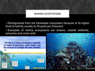 Distinguished from the freshwater ecosystem because of its higher
level of salinity usually at 35 parts per thousand
Examples of marine ecosystems are oceans, coastal wetlands,
estuaries and coral reefs.
MARINE ECOSYSTEMS
 