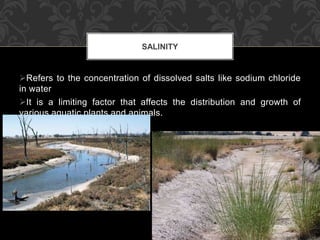 Refers to the concentration of dissolved salts like sodium chloride
in water
It is a limiting factor that affects the distribution and growth of
various aquatic plants and animals.
SALINITY
 