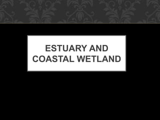 ESTUARY AND
COASTAL WETLAND
 