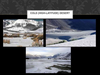 COLD (HIGH-LATITUDE) DESERT
 