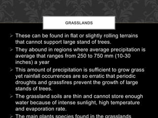 These can be found in flat or slightly rolling terrains
that cannot support large stand of trees.
 They abound in regions where average precipitation is
average that ranges from 250 to 750 mm (10-30
inches) a year
 This amount of precipitation is sufficient to grow grass
yet rainfall occurrences are so erratic that periodic
droughts and grassfires prevent the growth of large
stands of trees.
 The grassland soils are thin and cannot store enough
water because of intense sunlight, high temperature
and evaporation rate.
GRASSLANDS
 