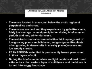  These are located in areas just below the arctic region of
perpetual ice and snow.
 These areas are cold and they experience icy gale-like winds,
fairly low average annual precipitation during brief summer
periods and long winter darkness.
 The wet Arctic tundra is covered with a thick spongy mat of
low-growing plants such lichens , sedges (grass-like plants
often growing in dense tufts in marshy places)mosses and
low woody shrubs.
 PERMAFROST- water that is permanently frozen year- round
in thick layers of soil.
 During the brief summer when sunlight persists almost round
– the –clock ,the surface layer of soil thaws and the biome is
turned into soggy landscape
•C.POLAR (HIGH
LATITUDE)GRASSLANDS OR ARCTIC
TUNDRAS
 