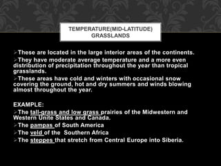 These are located in the large interior areas of the continents.
They have moderate average temperature and a more even
distribution of precipitation throughout the year than tropical
grasslands.
These areas have cold and winters with occasional snow
covering the ground, hot and dry summers and winds blowing
almost throughout the year.
EXAMPLE:
The tall-grass and low grass prairies of the Midwestern and
Western Unite States and Canada.
The pampas of South America
The veld of the Southern Africa
The steppes that stretch from Central Europe into Siberia.
TEMPERATURE(MID-LATITUDE)
GRASSLANDS
 
