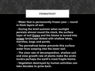 Water that is permanently frozen year – round
in thick layers of soil.
During the brief summer when sunlight
persists almost round the clock, the surface
layer of soil thaws and the biome is turned into
soggy landscape dotted with shallow lakes,
marshes, bogs and ponds.
The permafrost below prevents this surface
water from seeping into the lower soil.
The slow rate of decomposition, shallow soil
and slow growth rate of plants make the arctic
tundra perhaps the earth’s most fragile biome.
Vegetation destroyed by human activities can
take decades to grow back.
PERMAFROST
 