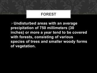 Undisturbed areas with an average
precipitation of 750 millimeters (30
inches) or more a year tend to be covered
with forests, consisting of various
species of trees and smaller woody forms
of vegetation.
FOREST
 