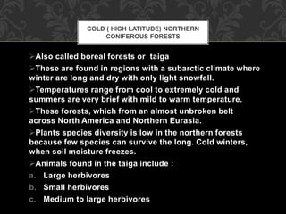 Also called boreal forests or taiga
These are found in regions with a subarctic climate where
winter are long and dry with only light snowfall.
Temperatures range from cool to extremely cold and
summers are very brief with mild to warm temperature.
These forests, which from an almost unbroken belt
across North America and Northern Eurasia.
Plants species diversity is low in the northern forests
because few species can survive the long. Cold winters,
when soil moisture freezes.
Animals found in the taiga include :
a. Large herbivores
b. Small herbivores
c. Medium to large herbivores
COLD ( HIGH LATITUDE) NORTHERN
CONIFEROUS FORESTS
 