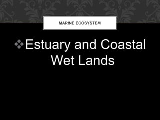 Estuary and Coastal
Wet Lands
MARINE ECOSYSTEM
 