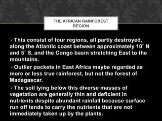 This consist of four regions, all partly destroyed,
along the Atlantic coast between approximately 10˚ N
and 5˚ S, and the Congo basin stretching East to the
mountains.
Outlier pockets in East Africa maybe regarded as
more or less true rainforest, but not the forest of
Madagascar.
The soil lying below this diverse masses of
vegetation are generally thin and deficient in
nutrients despite abundant rainfall because surface
run off tends to carry the nutrients that are not
immediately taken up by the plants.
THE AFRICAN RAINFOREST
REGION
 
