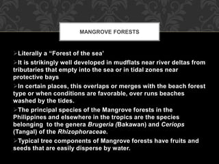 Literally a “Forest of the sea’
It is strikingly well developed in mudflats near river deltas from
tributaries that empty into the sea or in tidal zones near
protective bays
In certain places, this overlaps or merges with the beach forest
type or when conditions are favorable, over runs beaches
washed by the tides.
The principal species of the Mangrove forests in the
Philippines and elsewhere in the tropics are the species
belonging to the genera Brugeria (Bakawan) and Ceriops
(Tangal) of the Rhizophoraceae.
Typical tree components of Mangrove forests have fruits and
seeds that are easily disperse by water.
MANGROVE FORESTS
 