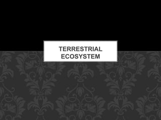 TERRESTRIAL
ECOSYSTEM
 
