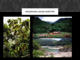 HAGAKHAK-LAUAN SUBTYPE
 