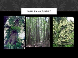 YAKAL-LAUAN SUBTYPE
 