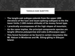  The tangile-oak subtype extends from the upper (400
elevation) of the luan and lauan-apitong subtypes to the the
lower limits (1,000 meters altitude) of he mossy forest type.
 I practically encompasses all the high slopes of mountain.
 As the name implies, the principal components species are
tangile (Shorea polysperma) and oaks (Lithocarpus spp.)
 This forest formation an be found in certain mountains like
Mt. Halcon in Mindanao and Mt. Giting-giting in Sibuyan
Island.
TANGILE-OAK SUBTYPE
 