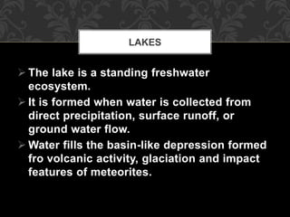  The lake is a standing freshwater
ecosystem.
 It is formed when water is collected from
direct precipitation, surface runoff, or
ground water flow.
 Water fills the basin-like depression formed
fro volcanic activity, glaciation and impact
features of meteorites.
LAKES
 