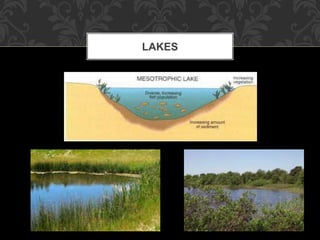 LAKES
 