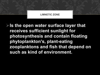 Is the open water surface layer that
receives sufficient sunlight for
photosynthesis and contain floating
phytoplankton's, plant-eating
zooplanktons and fish that depend on
such as kind of environment.
LIMNETIC ZONE
 