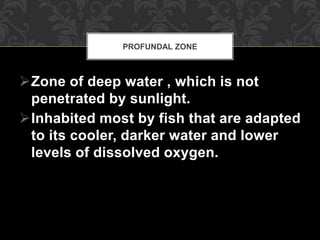 Zone of deep water , which is not
penetrated by sunlight.
Inhabited most by fish that are adapted
to its cooler, darker water and lower
levels of dissolved oxygen.
PROFUNDAL ZONE
 