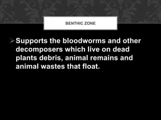 Supports the bloodworms and other
decomposers which live on dead
plants debris, animal remains and
animal wastes that float.
BENTHIC ZONE
 