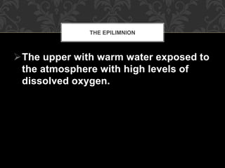 The upper with warm water exposed to
the atmosphere with high levels of
dissolved oxygen.
THE EPILIMNION
 